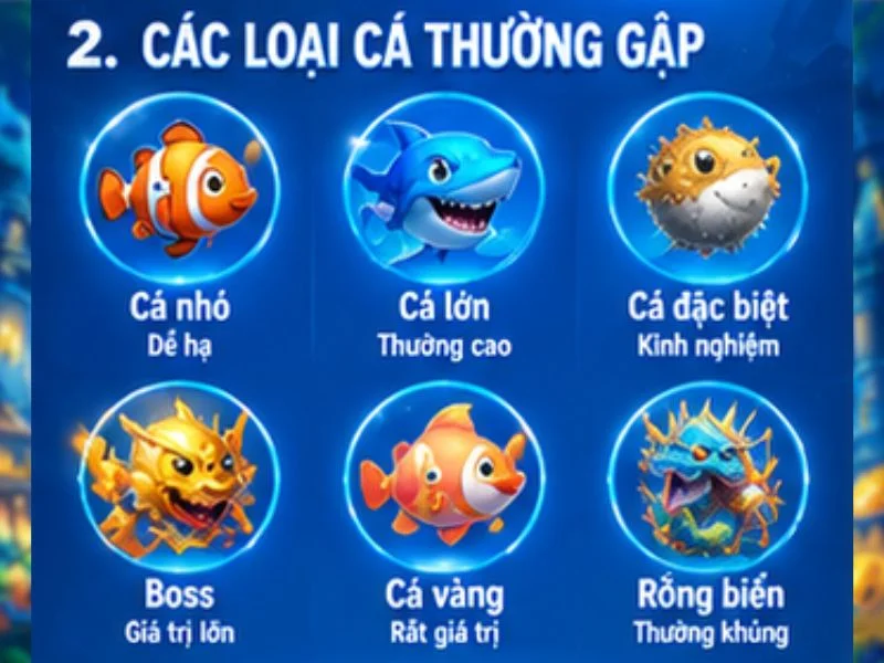 Các loại cá thường gặp Các loại cá thường gặp