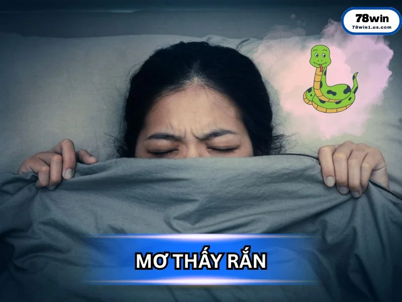 Giải Mã Giấc Mơ Thấy Rắn: Bí Ẩn, Điềm Báo và Những Con Số Vàng Giải Mã Giấc Mơ Thấy Rắn: Bí Ẩn, Điềm Báo và Những Con Số Vàng